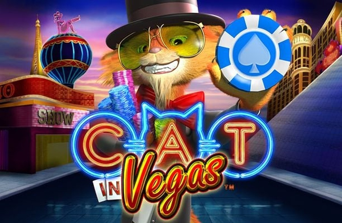 Cat In Vegas Slot - screenshot
