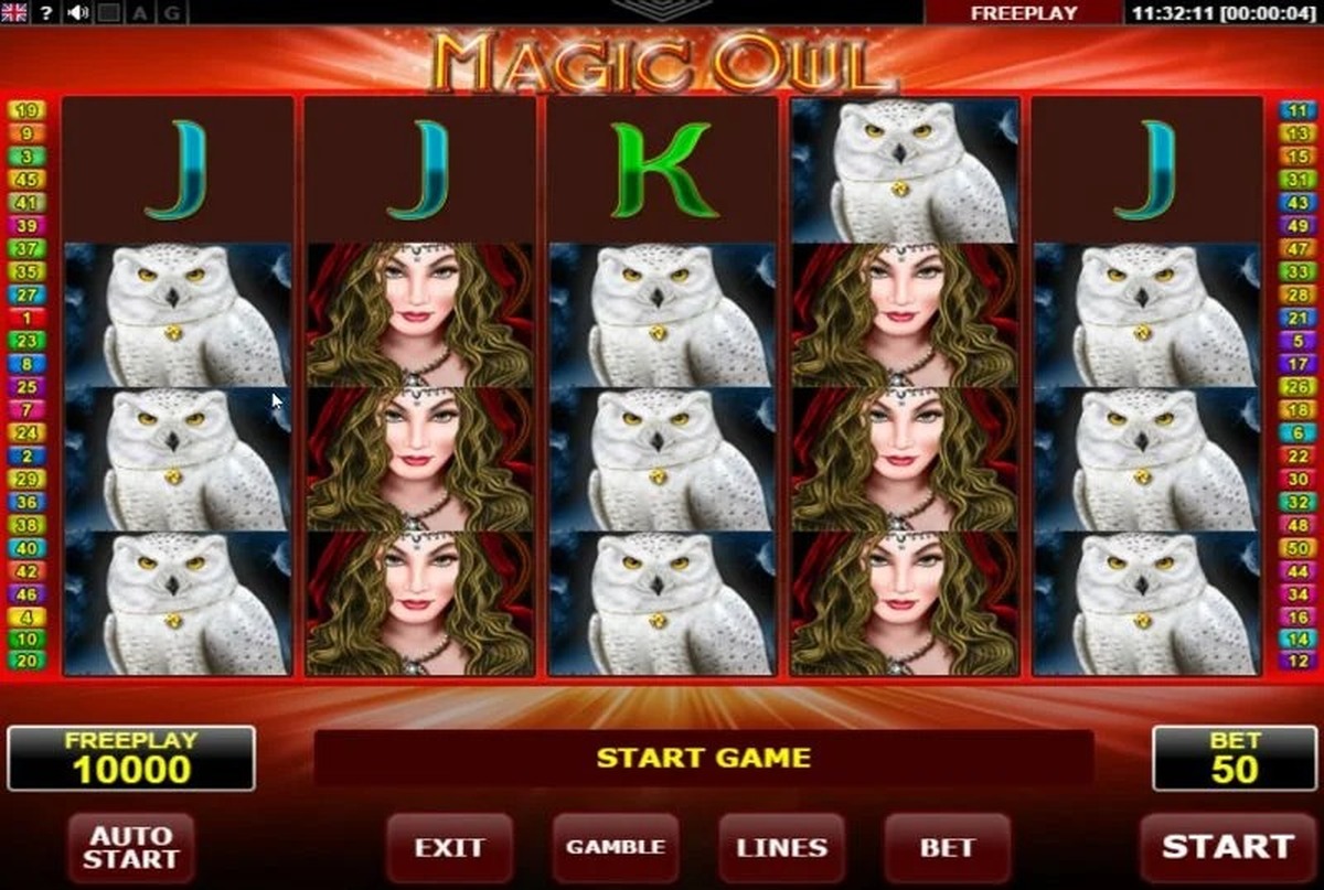 Magic Owl - screenshot