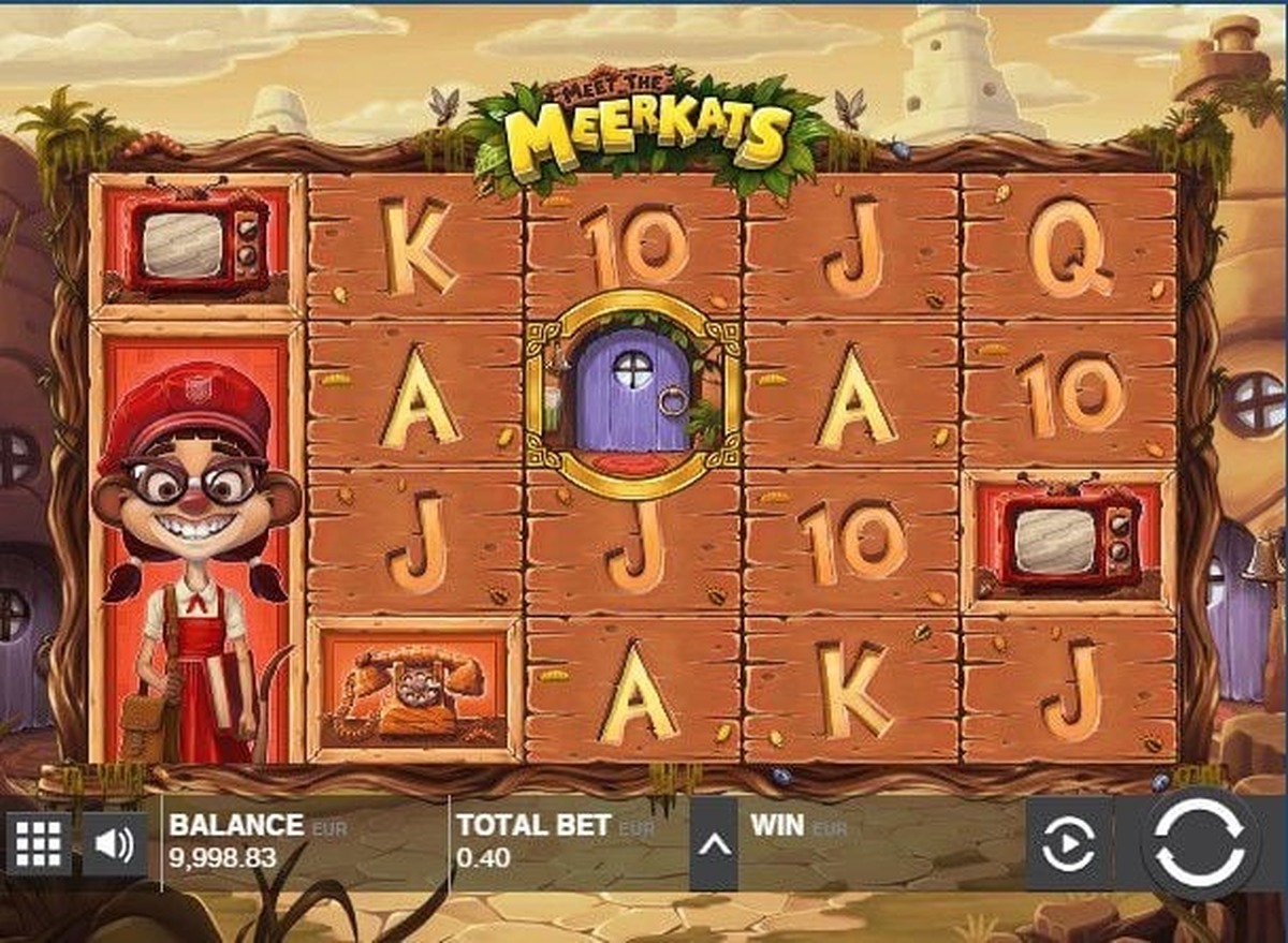 Meet the Meerkats Slot - screenshot